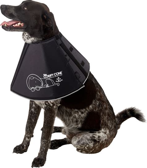 cone collars for dogs